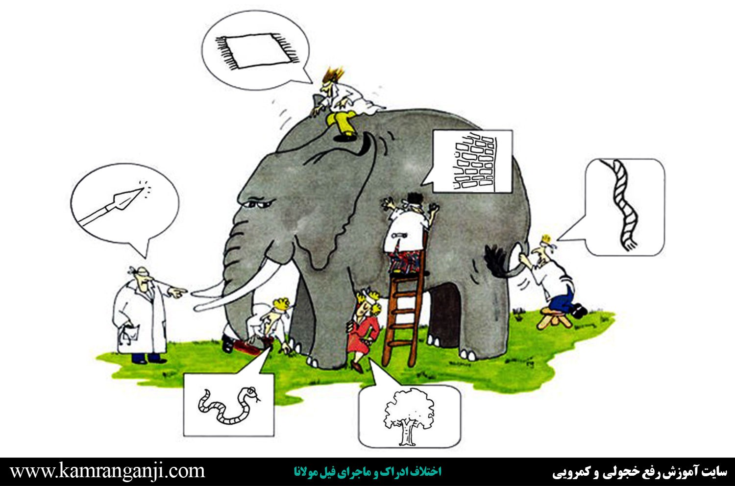 اختلاف ادراک و ماجرای فیل مولانا